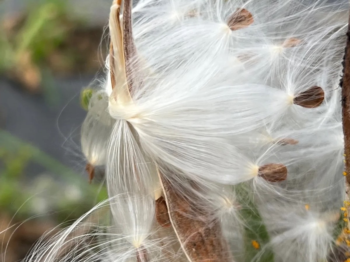 The EarthBody Journey&nbsp;Ahead